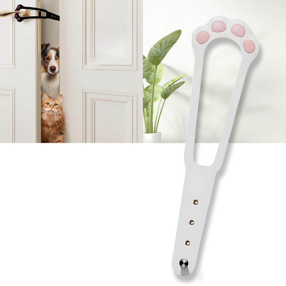 Innovative Door Latch For Cats - Ozerty
